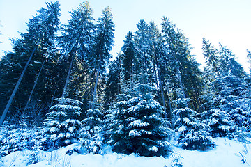 Image showing Winter mountains