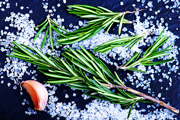 Image showing rosemary  with salt