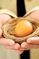 Image showing Hands holding nest with egg