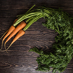 Image showing Freshly grown carrots