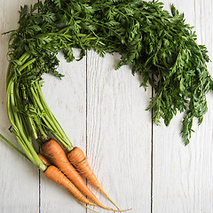 Image showing Freshly grown carrots