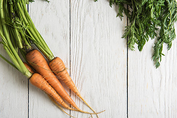 Image showing Freshly grown carrots