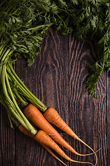 Image showing Freshly grown carrots