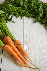 Image showing Freshly grown carrots