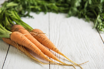 Image showing Freshly grown carrots