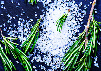 Image showing rosemary  with salt