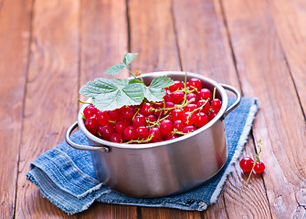 Image showing red currant