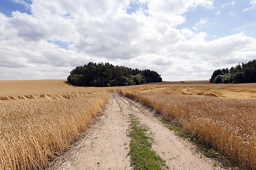 Image showing Rural paved road