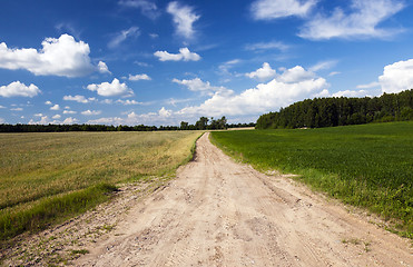 Image showing Spring road, countryside