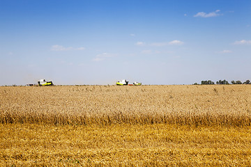 Image showing harvesting of cereals