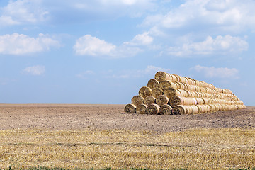 Image showing cereal harvest field