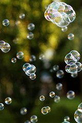 Image showing Soap bubbles