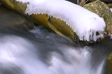 Image showing Branch with Snow on a River