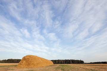 Image showing stack of straw in the field