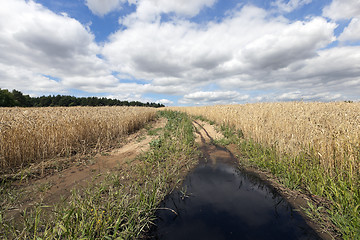 Image showing Rural paved road