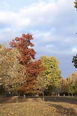 Image showing autumn in the park