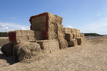 Image showing Tractor straw, close-up