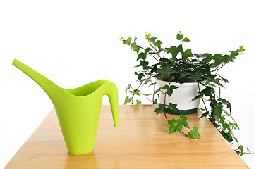 Image showing Green watering can and ivy in pot