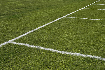 Image showing Emerald grass of a playing field