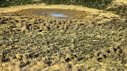 Image showing Drought. Slowly drying pond in steppe, where there was watering hole of wild mammals and birds