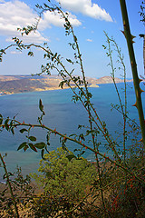 Image showing The  Taurica - ancient Greek colony Black sea coast