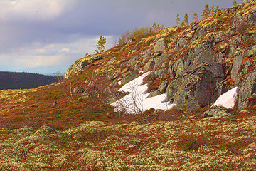 Image showing Mountain tundra in Lapland