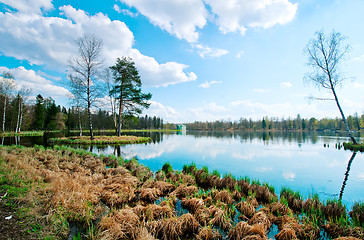 Image showing Autumn lake