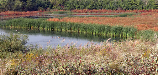 Image showing Fall Panorama