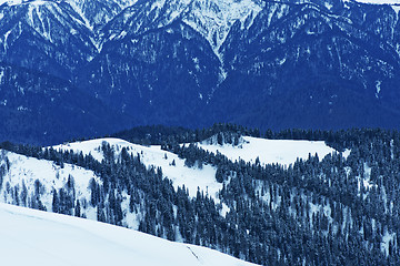 Image showing Snow in mountains. 