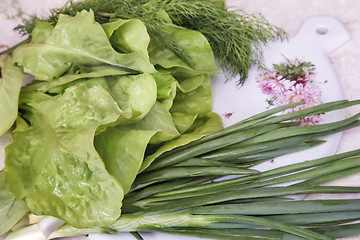 Image showing Vegetables: green onions, lettuce and dill
