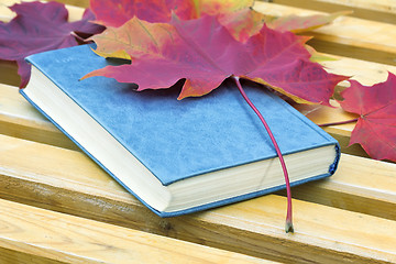 Image showing Book and fallen leaves on a Park bench.