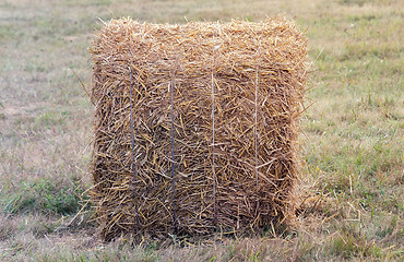 Image showing A bale of straw on a field after harvest.