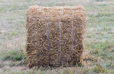 Image showing A bale of straw on a field after harvest.