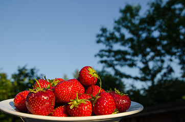 Image showing Strawberries in a bowl