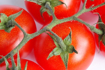 Image showing Tomatoes