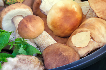 Image showing Mushrooms in a bucket in a forest glade.