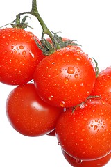 Image showing Wet Tomatoes