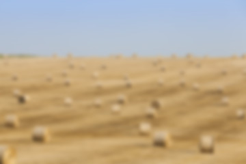 Image showing haystacks in a field of straw