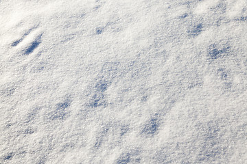 Image showing snow on the ground