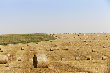 Image showing haystacks in a field of straw