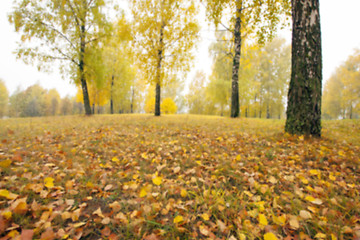 Image showing autumn in the park