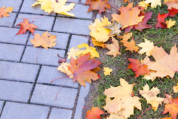 Image showing autumn in the park