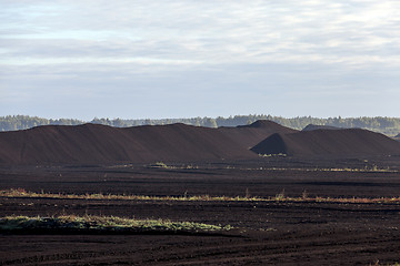 Image showing careers with peat