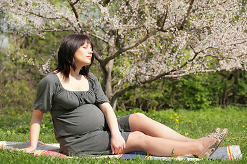 Image showing expectant mother in blossom garden