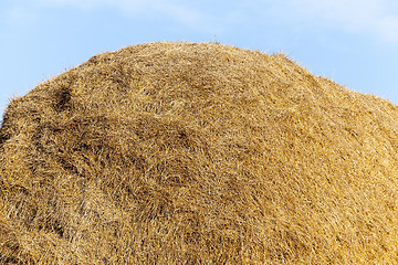 Image showing stack of straw in the field