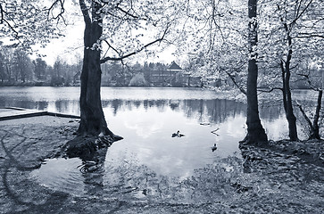 Image showing Spring morning by the lake