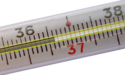 Image showing Thermometer