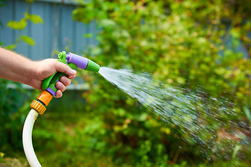Image showing Working watering garden from hose