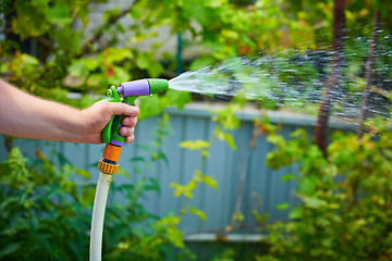 Image showing Working watering garden from hose