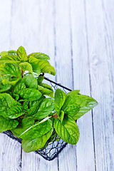 Image showing fresh mint